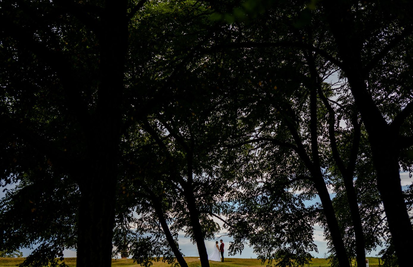 Iuliana & Marius_1195