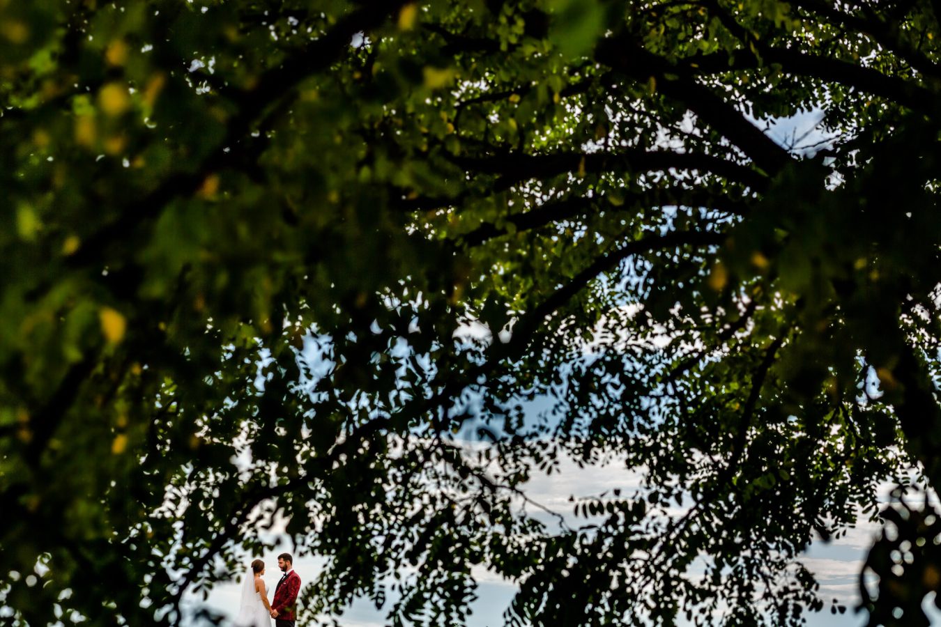 Iuliana & Marius_1198